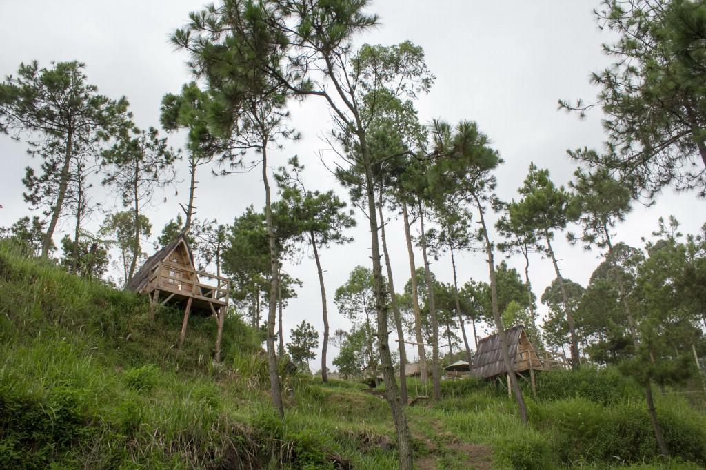 Papandayan Camping Ground 호텔 Cileuleuy 외부 사진