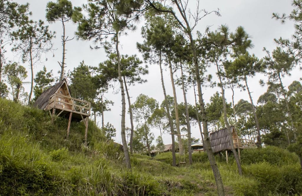 Papandayan Camping Ground 호텔 Cileuleuy 외부 사진
