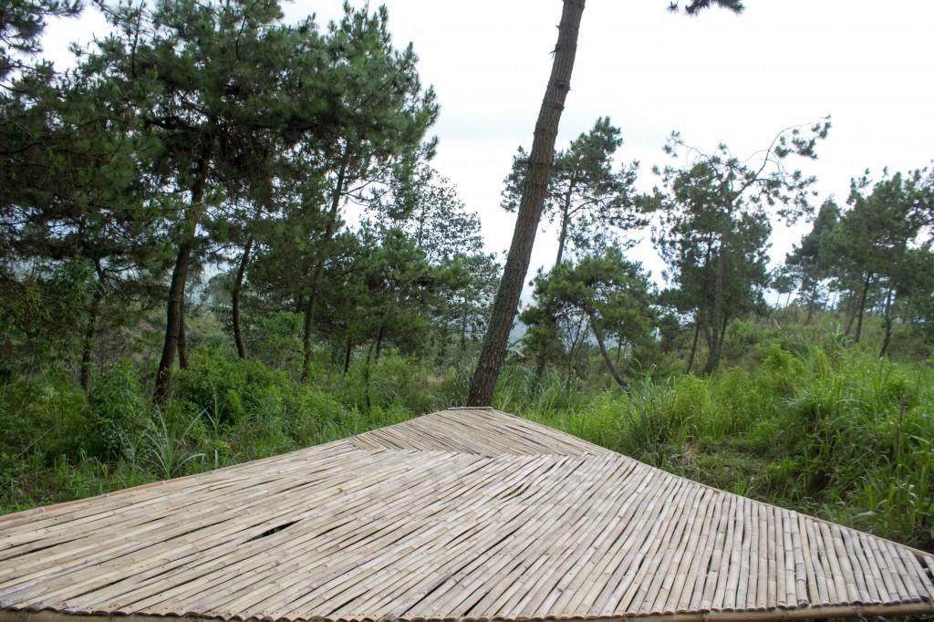 Papandayan Camping Ground 호텔 Cileuleuy 외부 사진