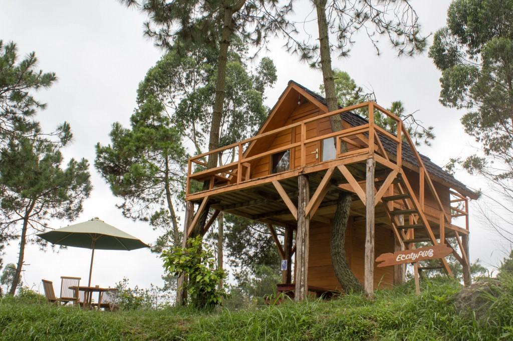 Papandayan Camping Ground 호텔 Cileuleuy 외부 사진