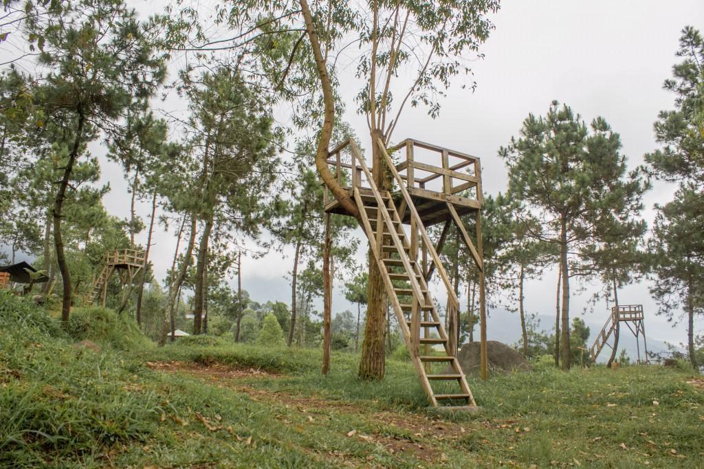 Papandayan Camping Ground 호텔 Cileuleuy 외부 사진