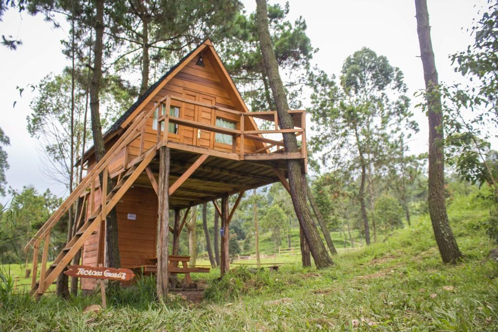 Papandayan Camping Ground 호텔 Cileuleuy 외부 사진
