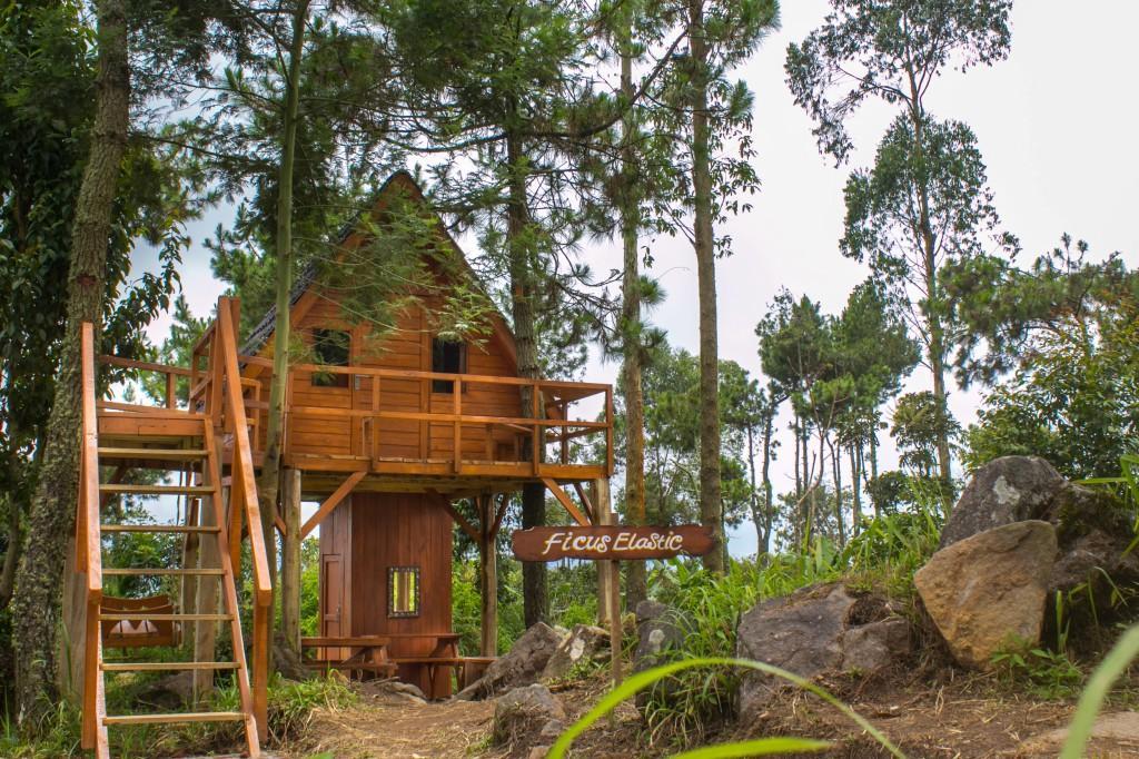 Papandayan Camping Ground 호텔 Cileuleuy 외부 사진