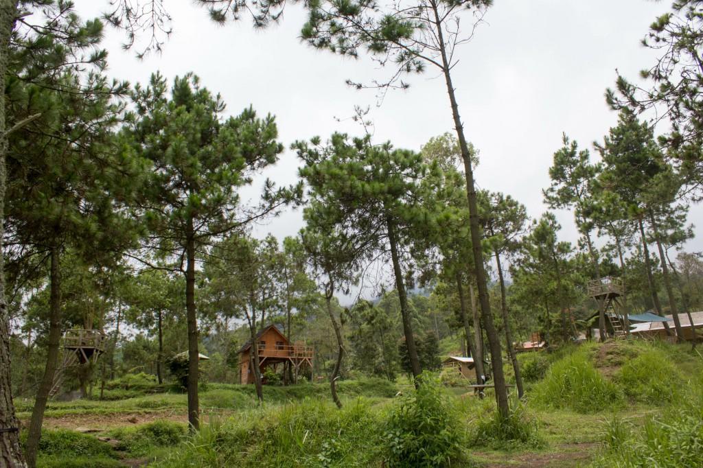 Papandayan Camping Ground 호텔 Cileuleuy 외부 사진