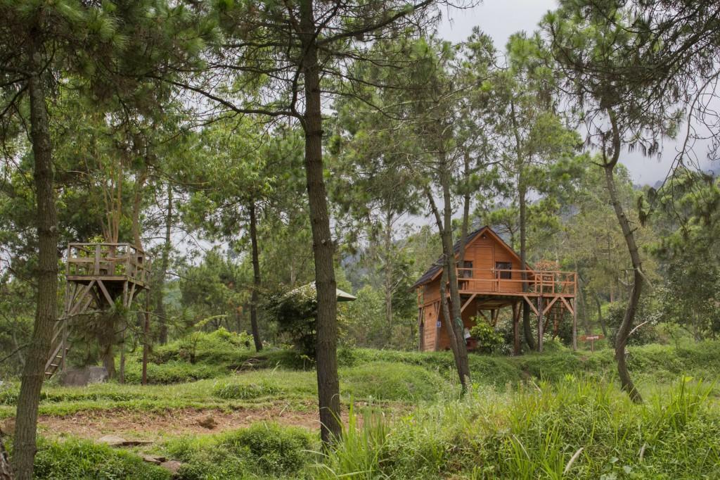 Papandayan Camping Ground 호텔 Cileuleuy 외부 사진